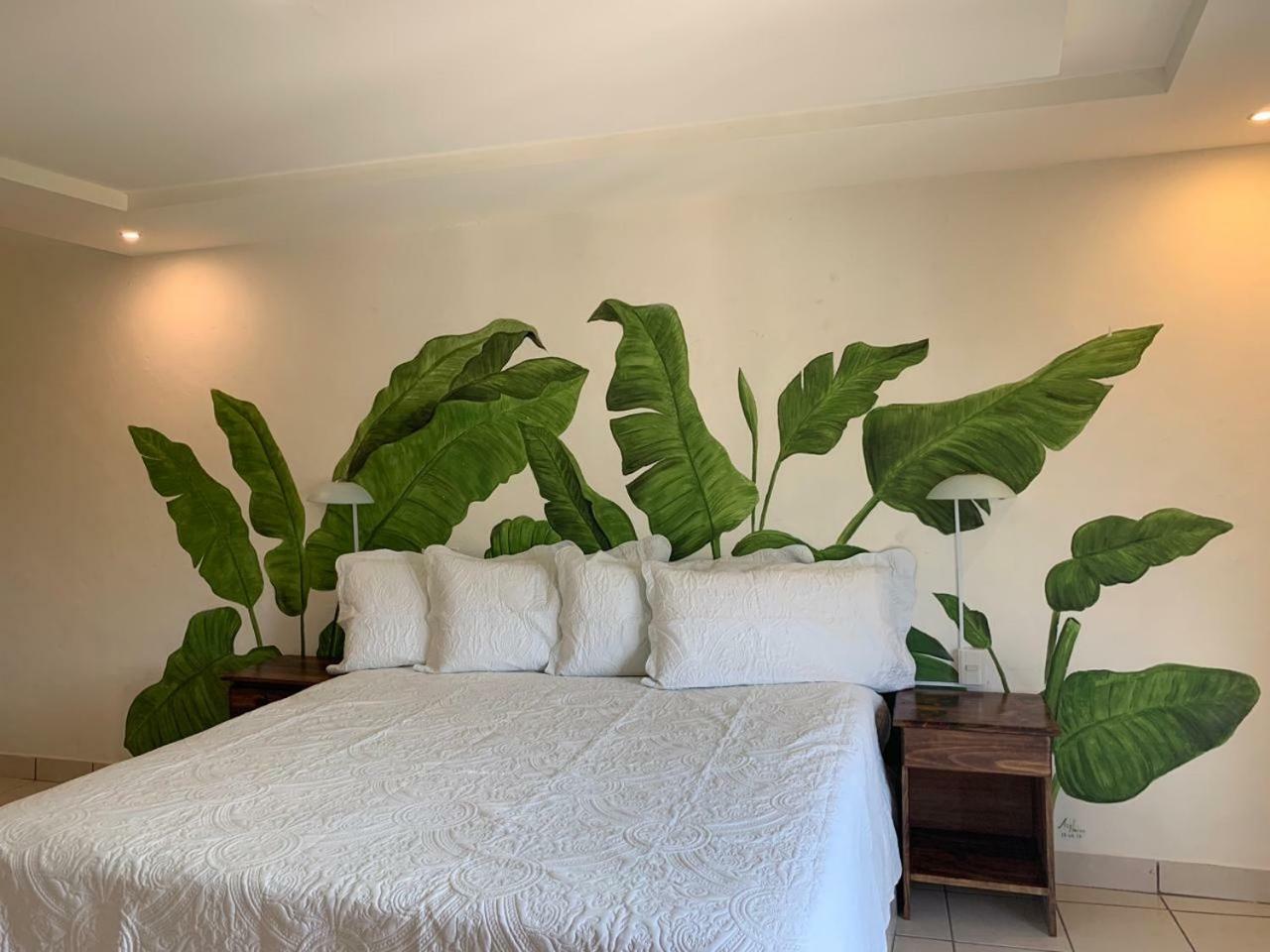 Hotel Cafenaranja Xilitla Ngoại thất bức ảnh