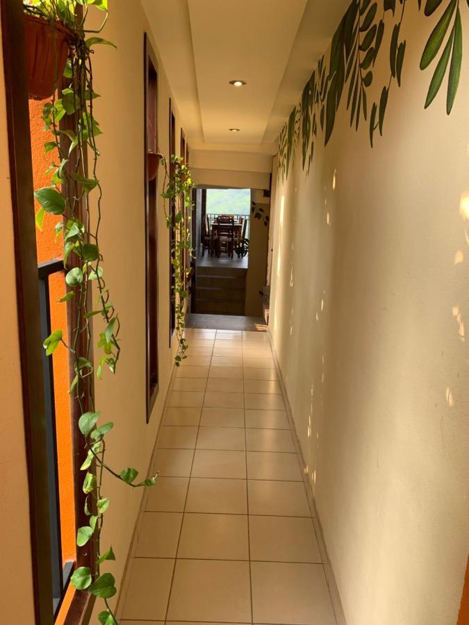Hotel Cafenaranja Xilitla Ngoại thất bức ảnh