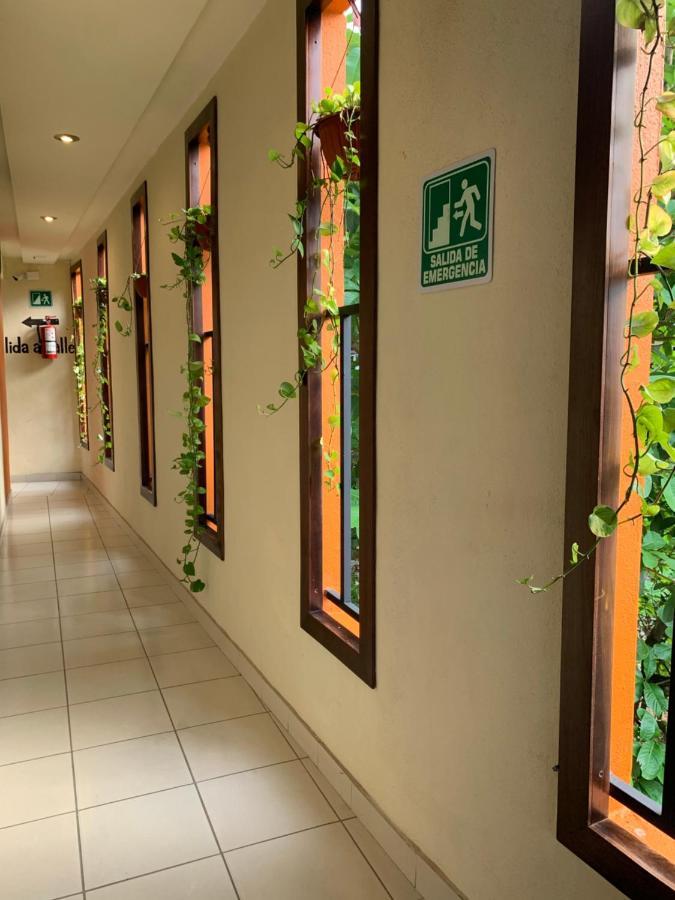 Hotel Cafenaranja Xilitla Ngoại thất bức ảnh